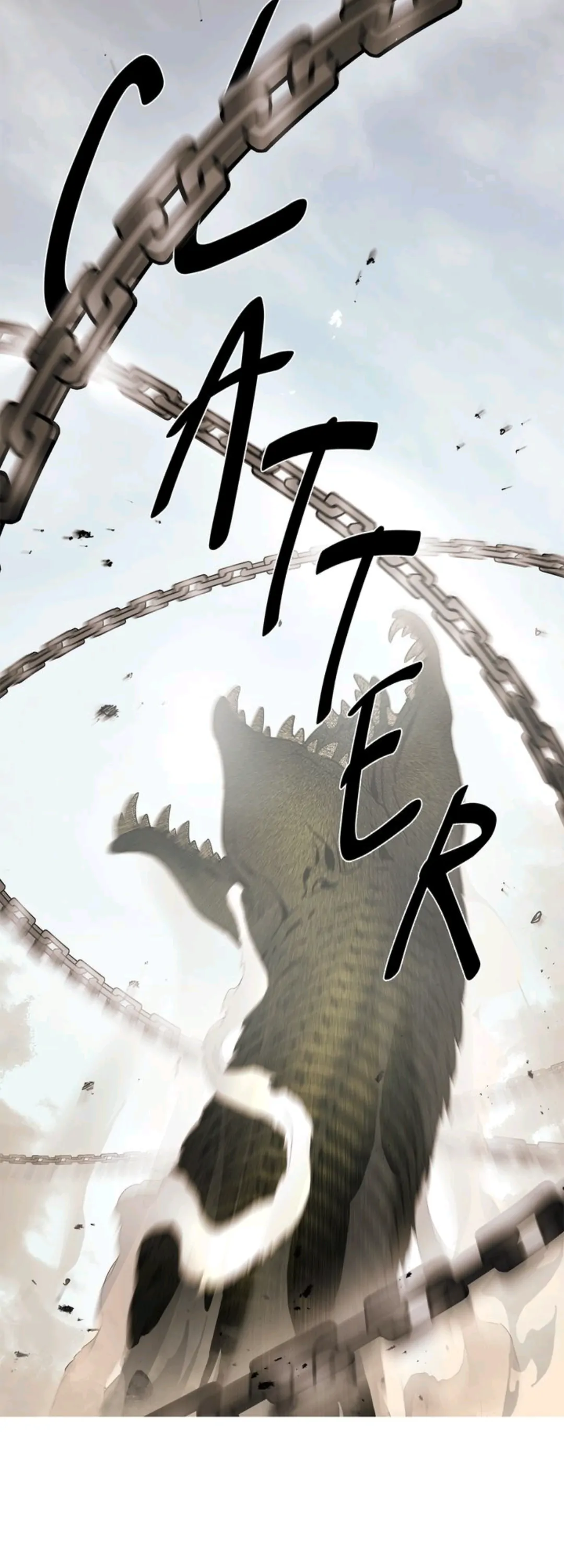 7980954 1080 3000 115208