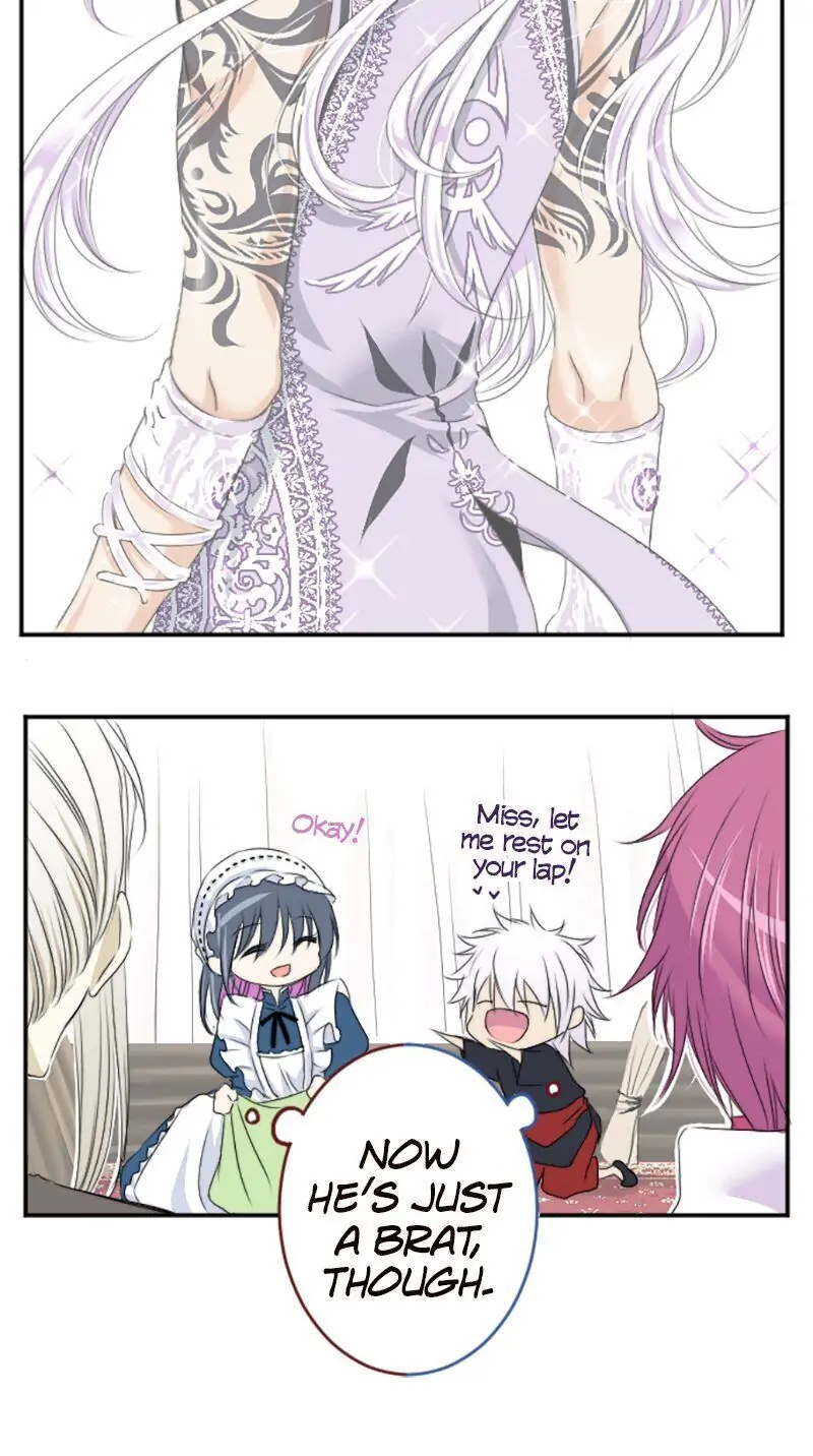 12244899 800 1432 88288