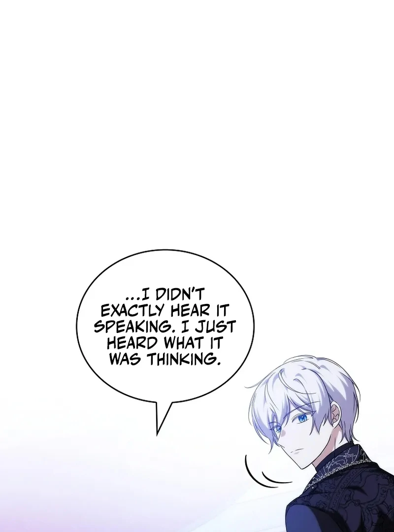 74294731 800 1080 39244